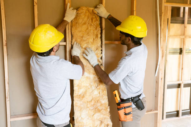 Best Eco-Friendly or Green Insulation Solutions  in Buffalo, OK