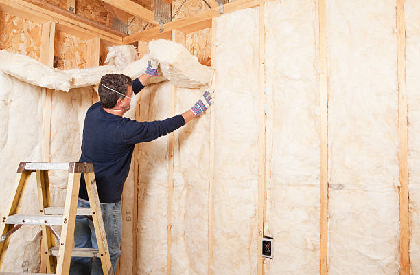 Best Blown-In Insulation  in Buffalo, OK